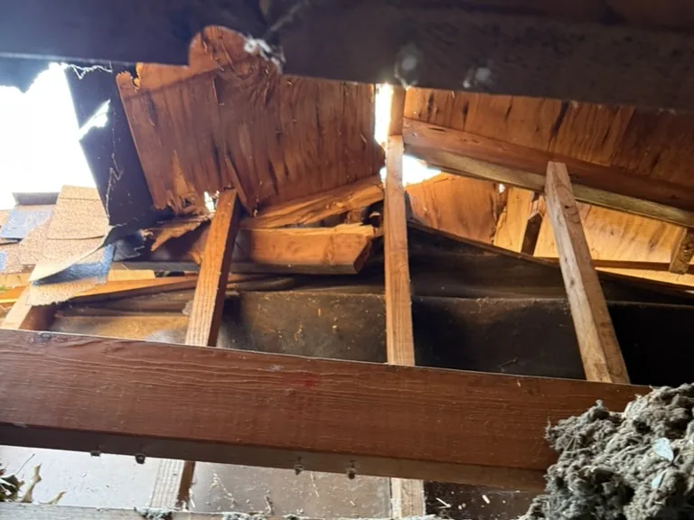 Bathroom ceiling caved in with broken roof framing and insulation hanging