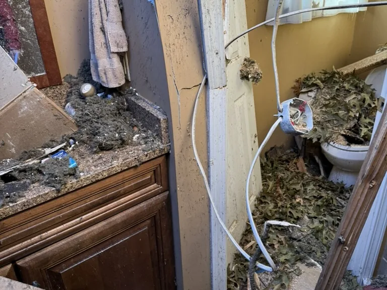 Bathroom full of branches, leaves, and debris after the storm