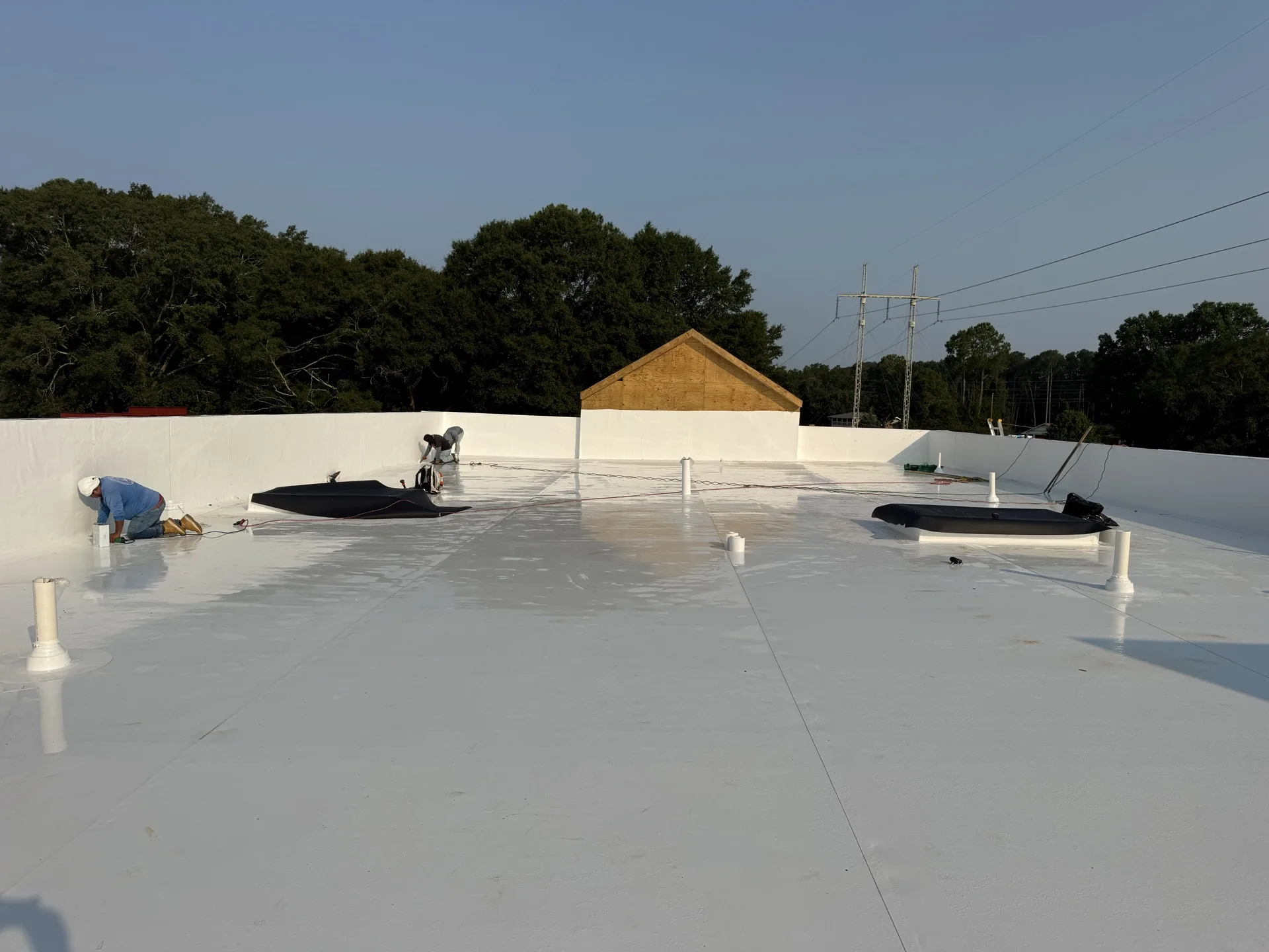 Commercial TPO Roof Replacement