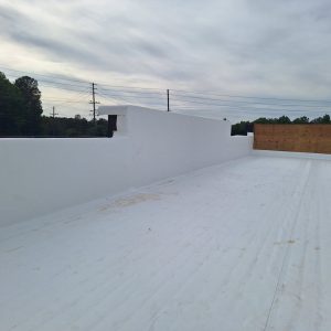 Photo May 05 2025, 12 46 08 (1) (1) (1)