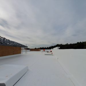 Photo May 05 2025, 12 46 08 (2) (1)